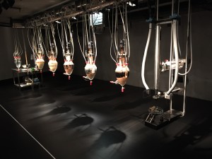 A machine/sculpture that eats, digests, and poops food at MONA in Hobart